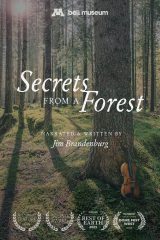 Poster of "Secrets from a Forest", Bell Museum